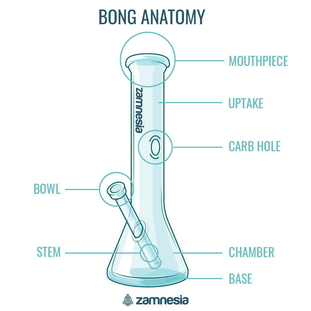 Whats The Difference Between Bongs And Dab Rigs Zamnesia 